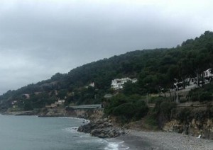 Andora frana