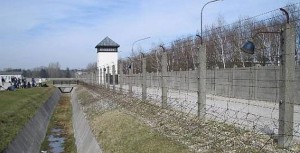 Dachau1 G00