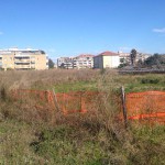 zona foce