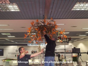 2 Piante e fiori del Ponente a Vinitaly