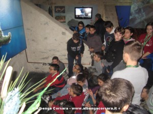 ragazzi medie