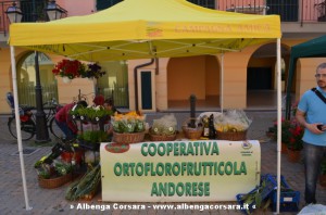 Mercatino del contadino