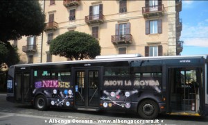 To Nite Bus 1