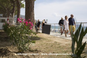 3 Alassio - Passeggiata oleandri