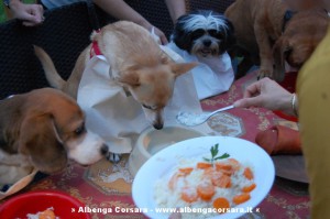 Cena da cani 01
