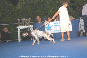 Concorso Cane Fantasia