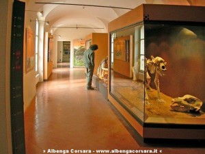FINALE ligure museo archeologico