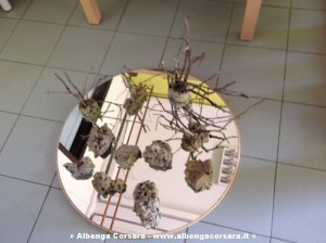 FateFolletti
