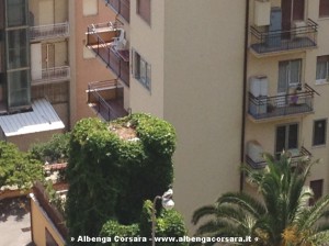 avvelenamento spotorno 6 14