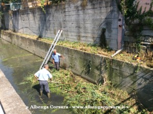 1 Pulizia Avarenna - Albenga 8-8-2014