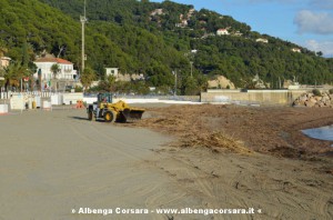 PULIZIA SPIAGGIA_RUSPA - Andora