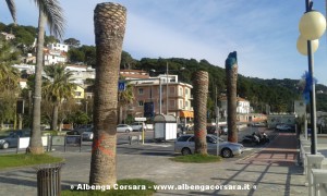 Palme da abbattere - Andora 2015