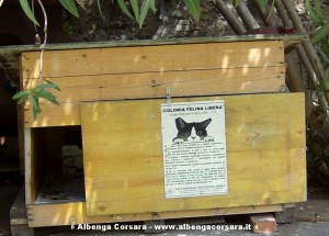COLONIA FELINA ENPA