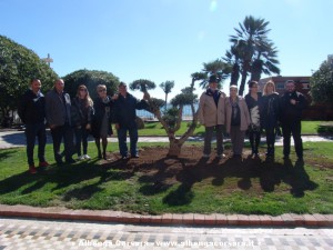 fotogruppo bonsai