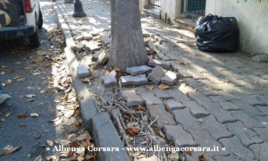 8 - Lavori Albenga - zavattini