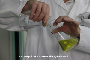 olio 2