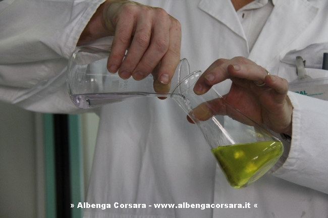 olio 2