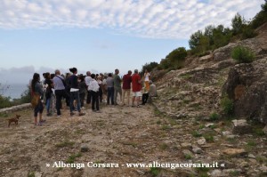 2 - rotary-iulia2