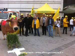 2 - Presidio Coldiretti - GE 11-11-2015