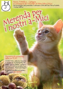 mici e castagne sv2015