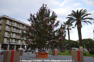 ANDORA_ALBERO DI NATALE (1)