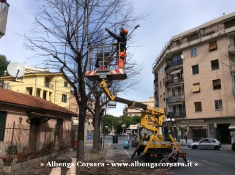 3 Potature Via Piave