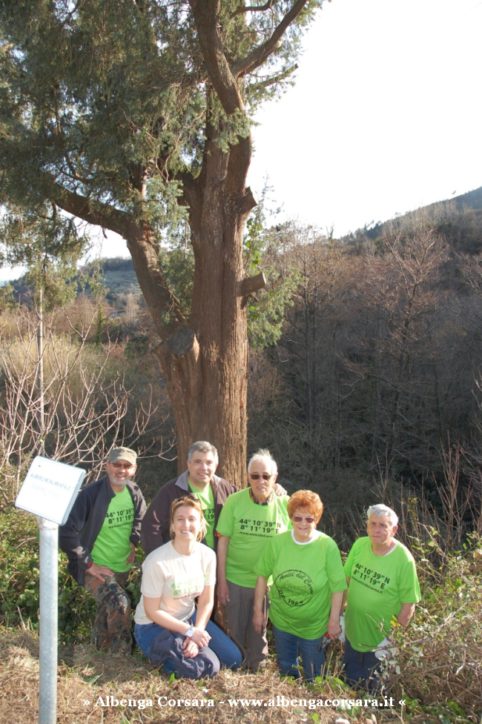 1 - Loano pulizia ginepro 1