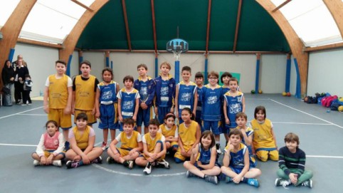 baskettino