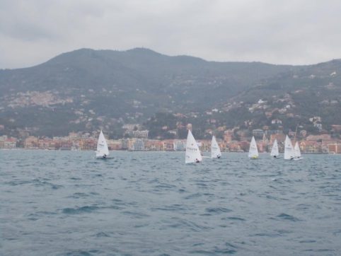 Alassio laser