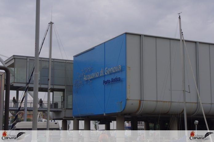 Acquario di Genova