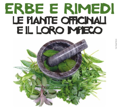 coop erbe savona