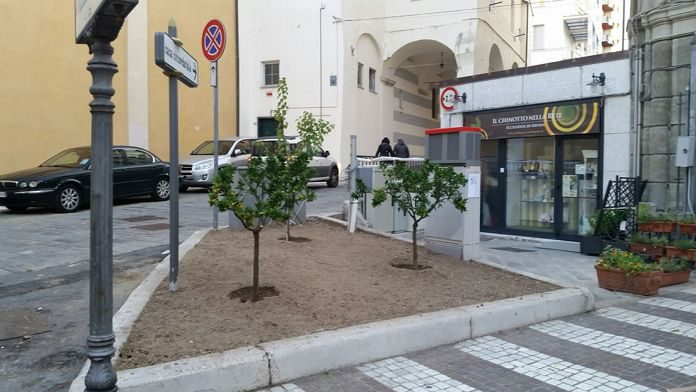 Aiuola in via Paleocapa a Savona