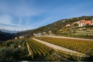 Valle Centa