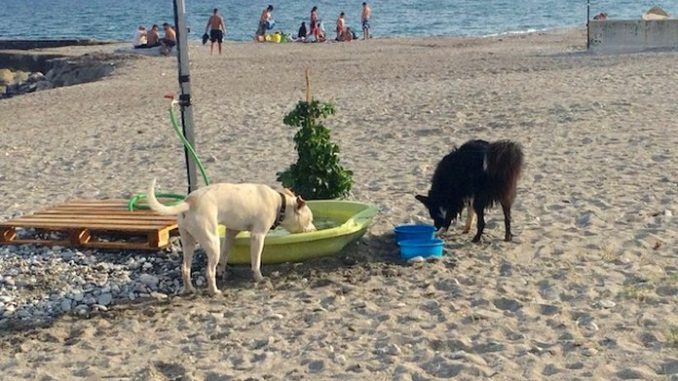 Spiaggia libera Albenga