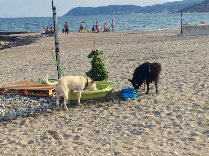 Spiaggia libera Albenga