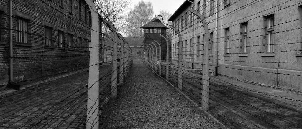 Auschwitz corridoio filo spinato