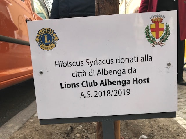 05 Alberelli Lions in via Fiume Albenga