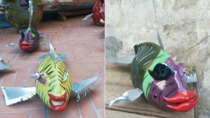 Pesce tigre e pesce pirata di Paolo Anselmo