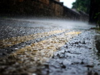 pioggia su asfalto