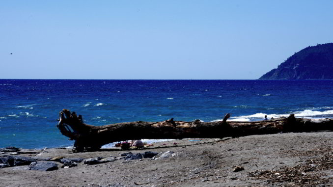 Spiaggia legna mare ad Albenga