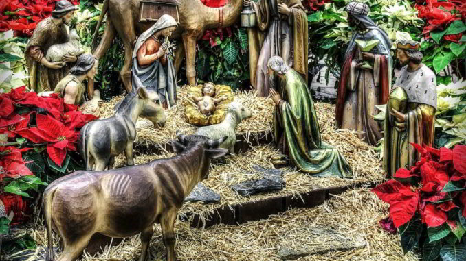 presepe e stelle di natale