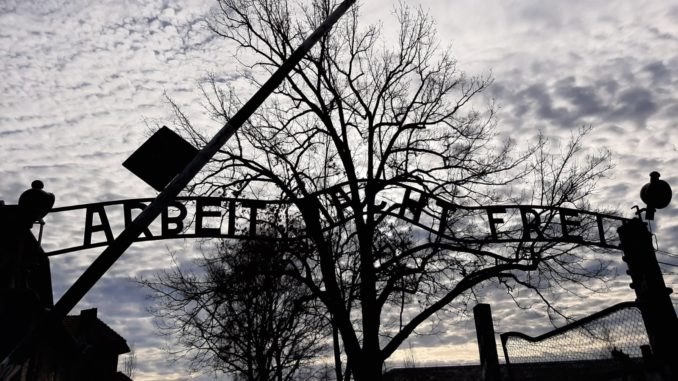Nel campo di sterminio di Auschwitz- Birkenau