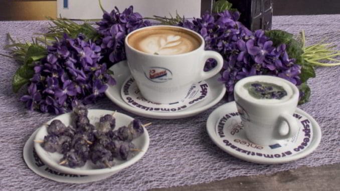 violette