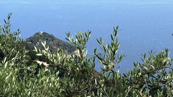 Territorio valli savonesi