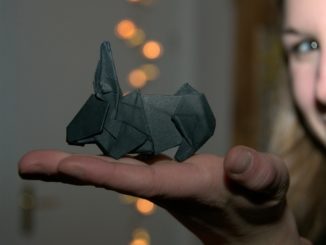 un origami