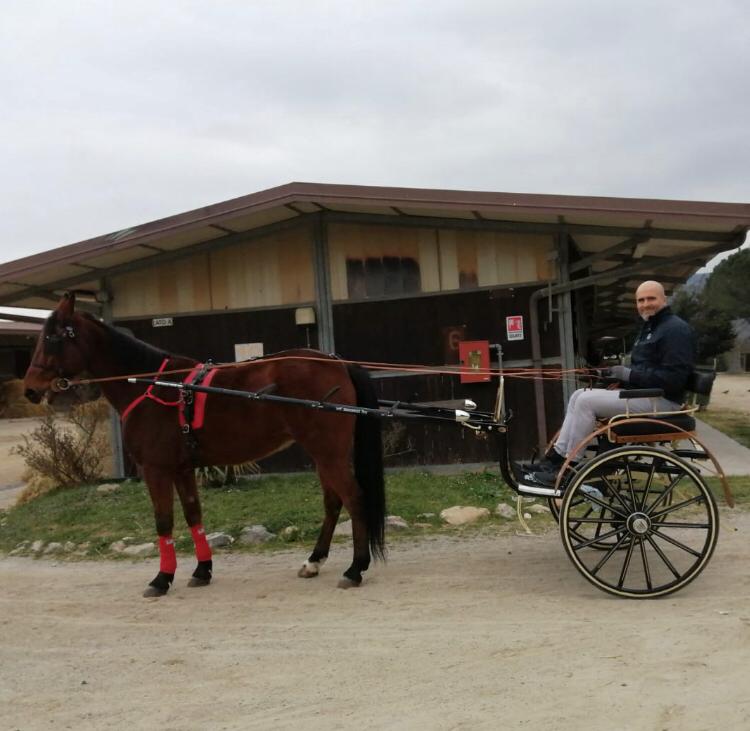 Albenga Il consigliere comunale Roberto Tomatis sul suo calesse trainato dal cavallo Nilo dell’Est