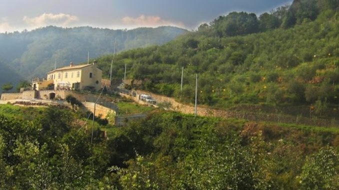 Canaiella di Savona