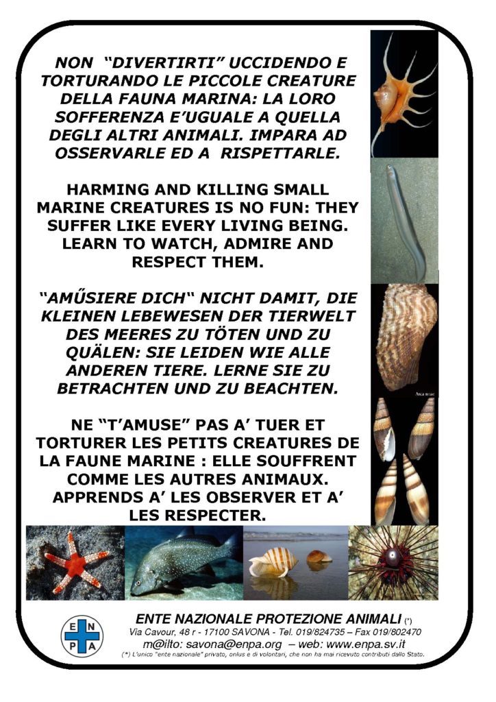 Enpa Savona - Fauna Marina Minore