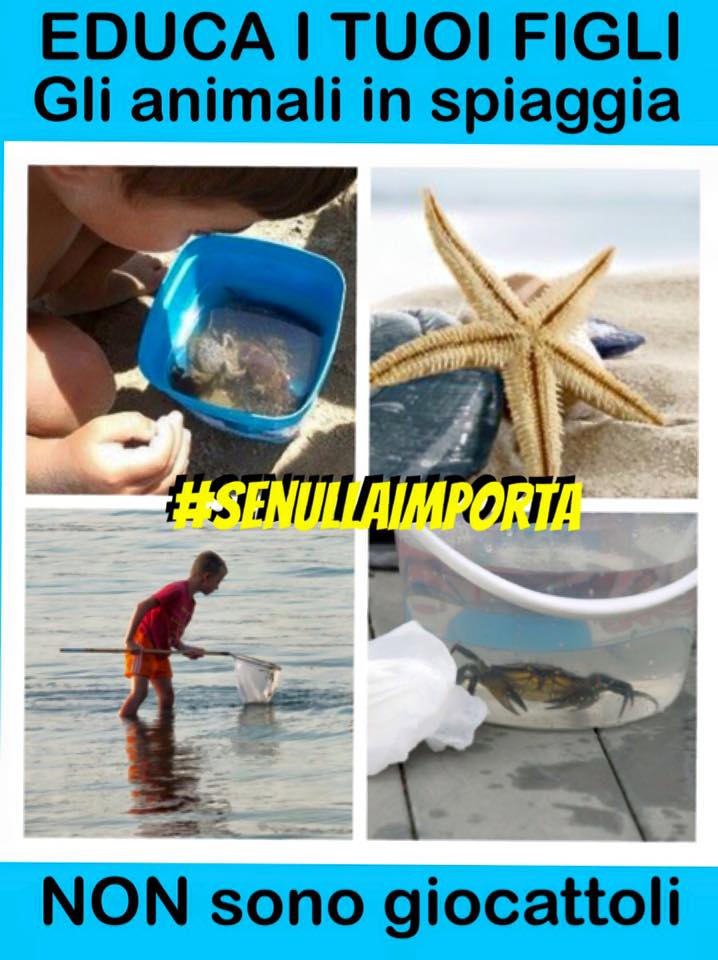 Enpa Savona - comportamento spiaggia