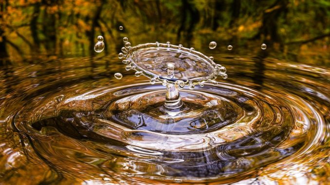 oasi wwf - acqua